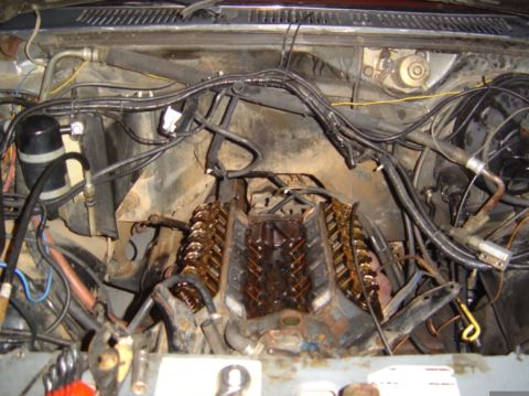 1986 Ford Bronco - View of a V8 engine bay, possibly undergoing maintenance or modification.