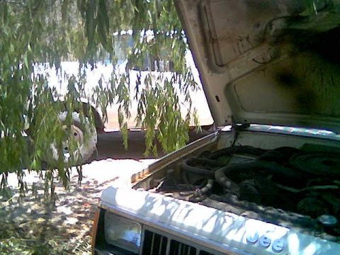 1980 Ford Bronco - tryin to get my bronco some shade