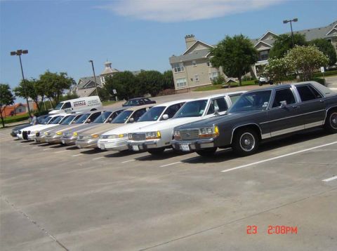 1988 Ford LTD Crown Victoria - Multiple 1988 Ford Crown Victoria LTD sedans are parked in a lot.