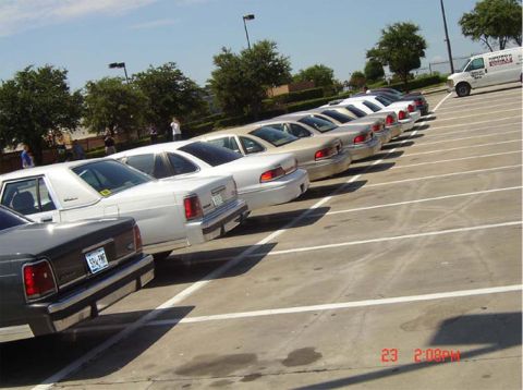 1988 Ford LTD Crown Victoria - A row of white 1988 Ford Crown Victorias are parked in a lot under a bright, partly cloudy sky.