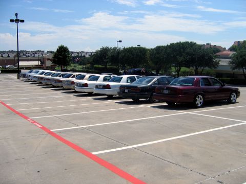 2000 Ford Crown Victoria - A line of white Ford Crown Victorias and a maroon one are parked in a lot on a sunny day.