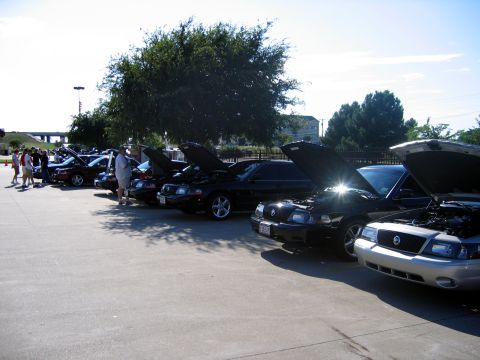 2000 Ford Crown Victoria - Cars are lined up with their hoods open, showing off their engines at an outdoor gathering.