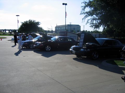 2000 Ford Crown Victoria - Several black Ford Crown Victoria sedans are parked side-by-side with their hoods open at an outdoor gathering.
