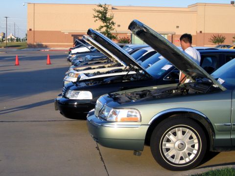 2000 Ford Crown Victoria - Several Ford Crown Victorias are lined up with their hoods open at an event.