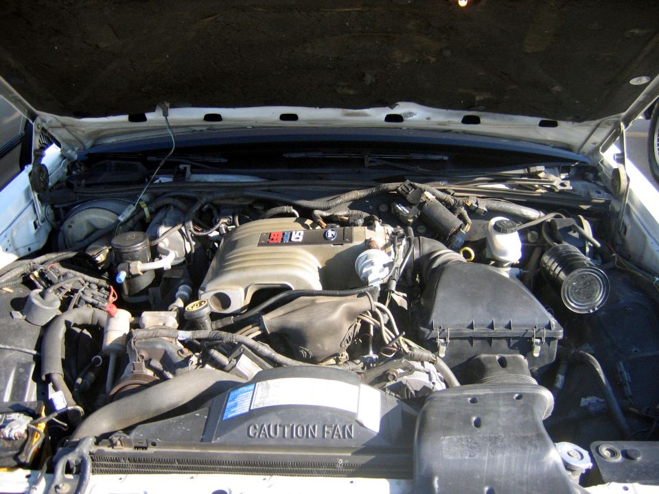 V8 engine bay with grey plastic intake manifold and CAUTION FAN shroud