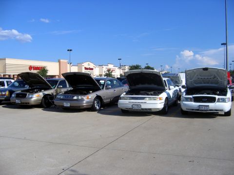 2000 Ford Crown Victoria - Several Ford Crown Victorias are gathered with their hoods open in a parking lot, with a Target store visible behind them.