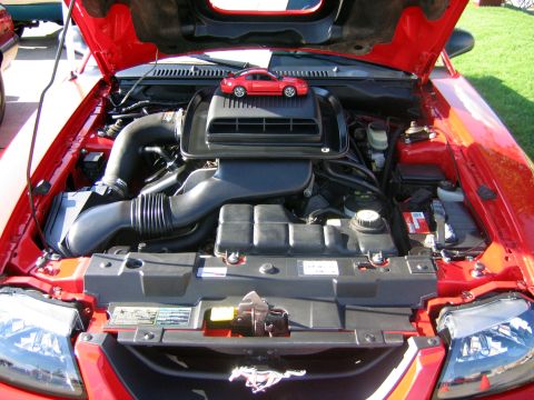 2000 Ford Crown Victoria - The engine bay of a red Ford Mustang, a miniature Mustang placed on top of the air intake system.