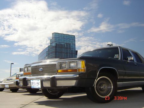 1988 Ford LTD Crown Victoria - A row of sedans are parked outside a contemporary building under a cloudy sky.