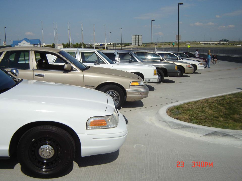 Several police sedans parked in a line, front white car in foreground
