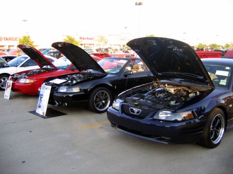 2000 Ford Crown Victoria - Multiple Ford Mustangs displayed with their engines exposed at an outdoor car event.