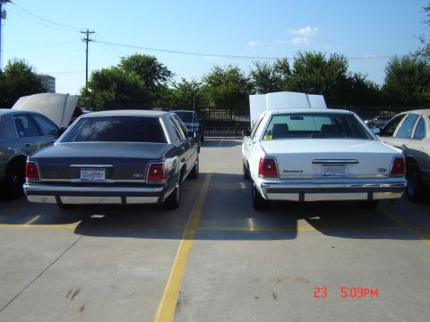 1988 Ford LTD Crown Victoria - Two Ford Crown Victoria LTD sedans, a dark gray and a white model, are parked side-by-side with their hoods open.
