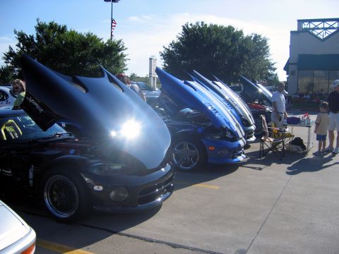 2000 Ford Crown Victoria - Multiple Dodge Viper sports cars displayed with their hoods open at an outdoor event.