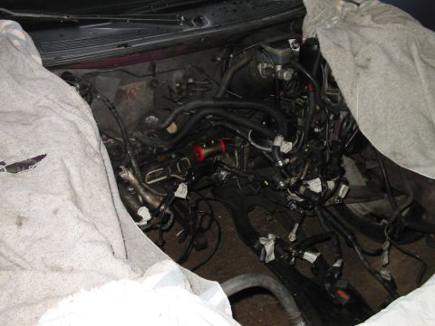 1995 Ford Probe - Empty Engine Bay