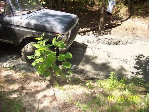 1987 Ford Bronco - Ford Bronco stuck in mud on a trail on July 24, 2005.
