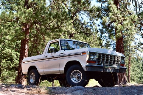 1979 Ford Bronco - A white 1978 Ford Bronco is parked outdoors among pine trees.