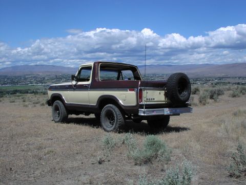 1979 Ford Bronco - A 1978 Ford Bronco is viewed from the rear, parked on a dry, grassy hillside under a cloudy blue sky.