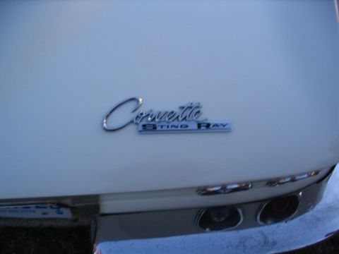 1993 Ford Taurus - Stingray badge (sort of blurry)