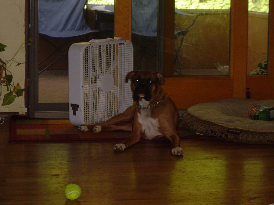 Cash staying cool