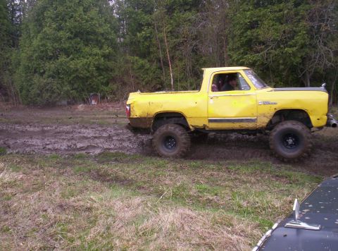 1984 Ford Bronco - Yellow pickup truck navigates a muddy track in a wooded area.