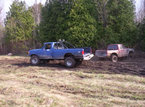 1984 Ford Bronco photo