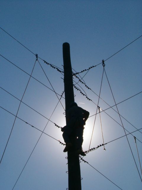 1995 Ford Bronco - A worker ascends a utility pole, silhouetted against the sun and a network of wires.