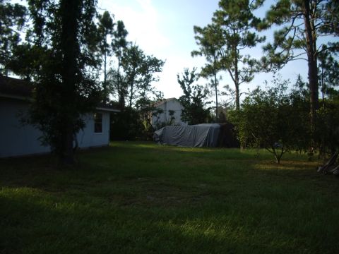 1978 Ford Bronco - A tarp-covered object sits in a grassy yard next to a house, surrounded by trees.