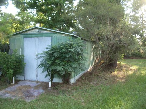 1978 Ford Bronco - A weathered green shed sits in a grassy yard, partially obscured by dense foliage and trees.