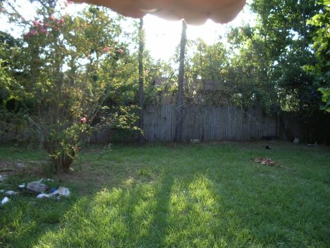 1978 Ford Bronco - A sunny backyard scene features a grassy lawn, lush trees, and a weathered wooden fence.