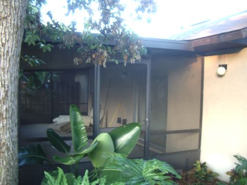 1978 Ford Bronco - A screened-in porch area is visible, surrounded by lush green plants and a large tree.