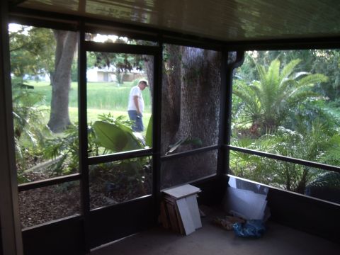 1978 Ford Bronco - View from a screened porch shows a man walking in a yard with lush greenery and large trees.