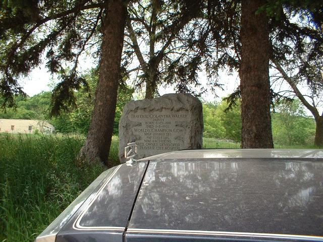 In front of the grave of Traverse Colantha Walker....world's champion cow.