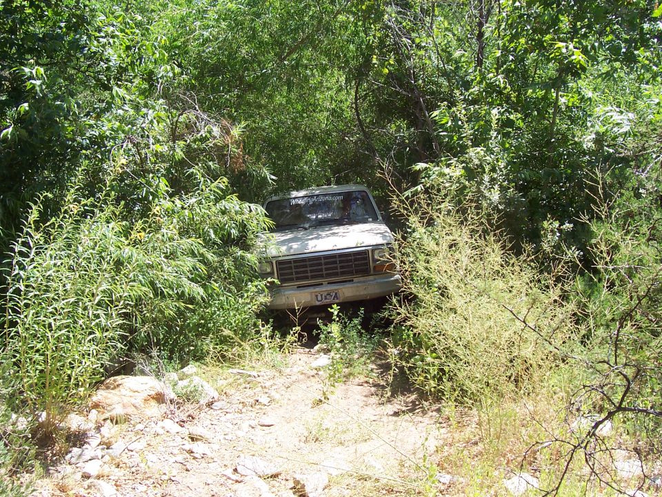 Squeezing through the grown in trail