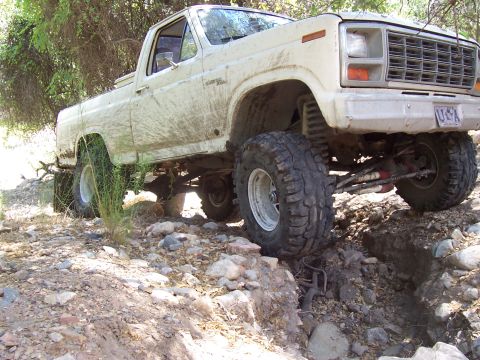 1981 Ford F-150 - Photo does this no justice
