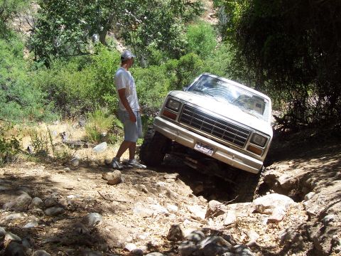 1981 Ford F-150 - Fell in while backing down. I'm standing straight up for reference angle.