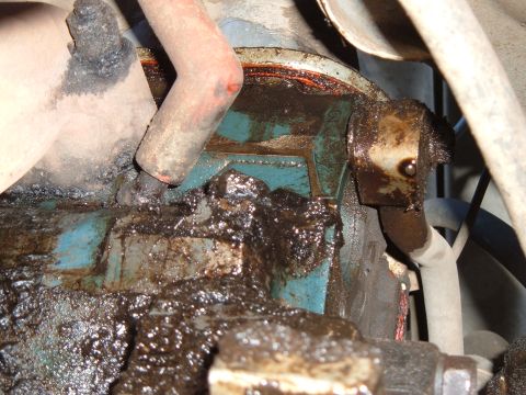 1989 Ford Bronco - This image shows a heavily greased engine component with visible leaks and a red gasket.