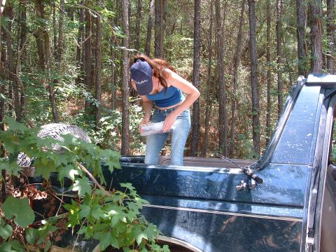 1993 Ford Bronco - A woman pours liquid into the bed of a 1993 Ford Bronco, surrounded by trees.