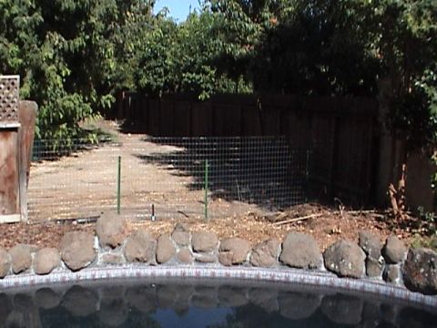 1994 Ford Bronco - A car went through my fence