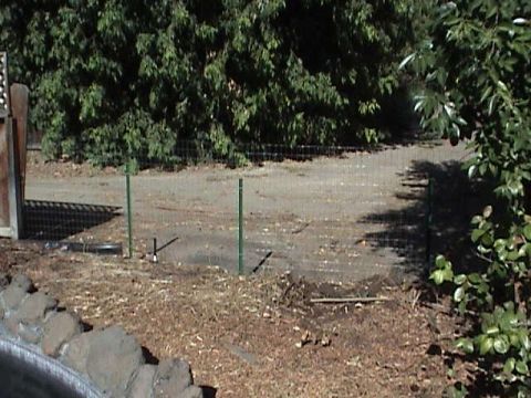 1994 Ford Bronco - A view of a dirt road surrounded by trees and fencing.
