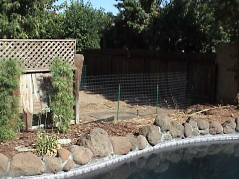 1994 Ford Bronco - A backyard scene a pool edge, rocks, and a wooden fence with some greenery.