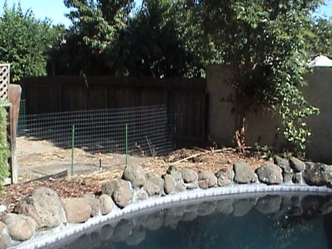 1994 Ford Bronco - Backyard scene includes a pool, rocks, wooden fence, and a wire enclosure.