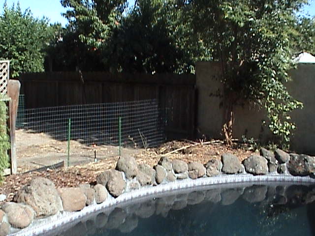 backyard scene with a swimming pool edge, rocks, wooden fence, and a wire fence enclosure