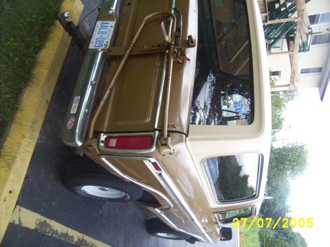 1979 Ford Bronco - Tail light and tailgate passenger side