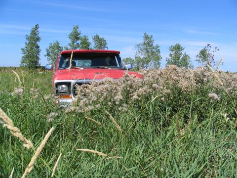 1978 Ford Bronco - Red 1978 Ford Bronco sits in a field of tall grass and weeds.