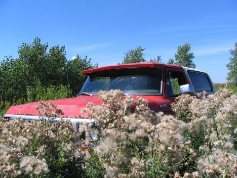 1978 Ford Bronco - this shit flies everywhere when you idle/plow through it