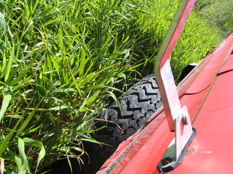 1978 Ford Bronco - A red vehicle's side and spare tire are partially visible next to tall green grass.