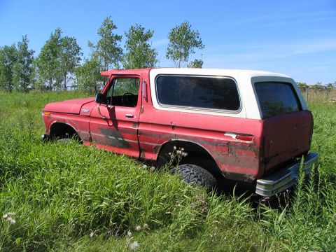1978 Ford Bronco - This 1978 Ford Bronco is partially obscured by tall grass under a clear blue sky.