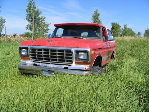 1978 Ford Bronco - A red 1978 Ford Bronco sits in a field of tall grass under a blue sky.