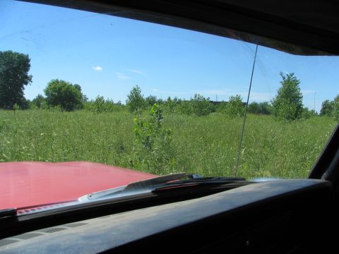 1978 Ford Bronco - View from inside a vehicle looking out over a grassy field with trees.