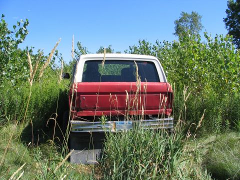 1978 Ford Bronco - tailgate