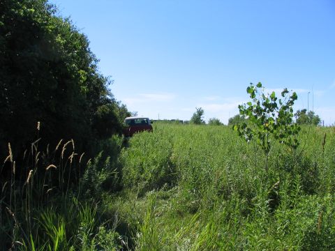 1978 Ford Bronco - A red SUV is partially obscured by tall grass in a rural outdoor setting under a clear blue sky.